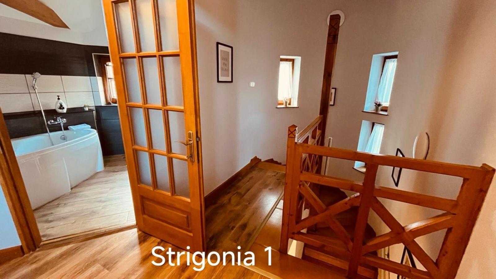 Strigonia *