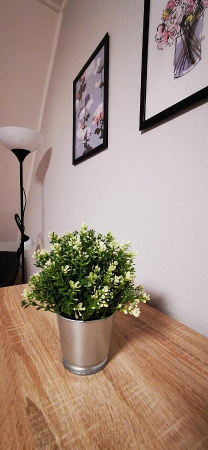Apartment Strigonia *